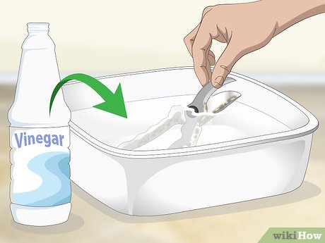 Ilustrasi Cuka Menghilangkan Karat, sumber Wikihow