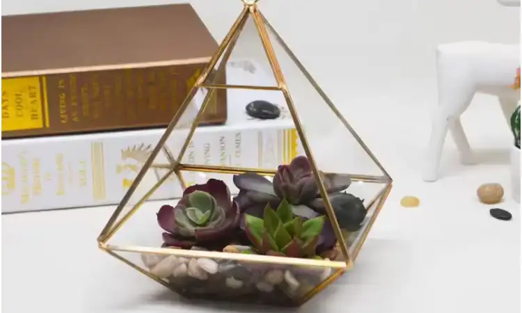 Terarium Kaca dengan Bingkai Kuningan, Sumber: alicdn.com